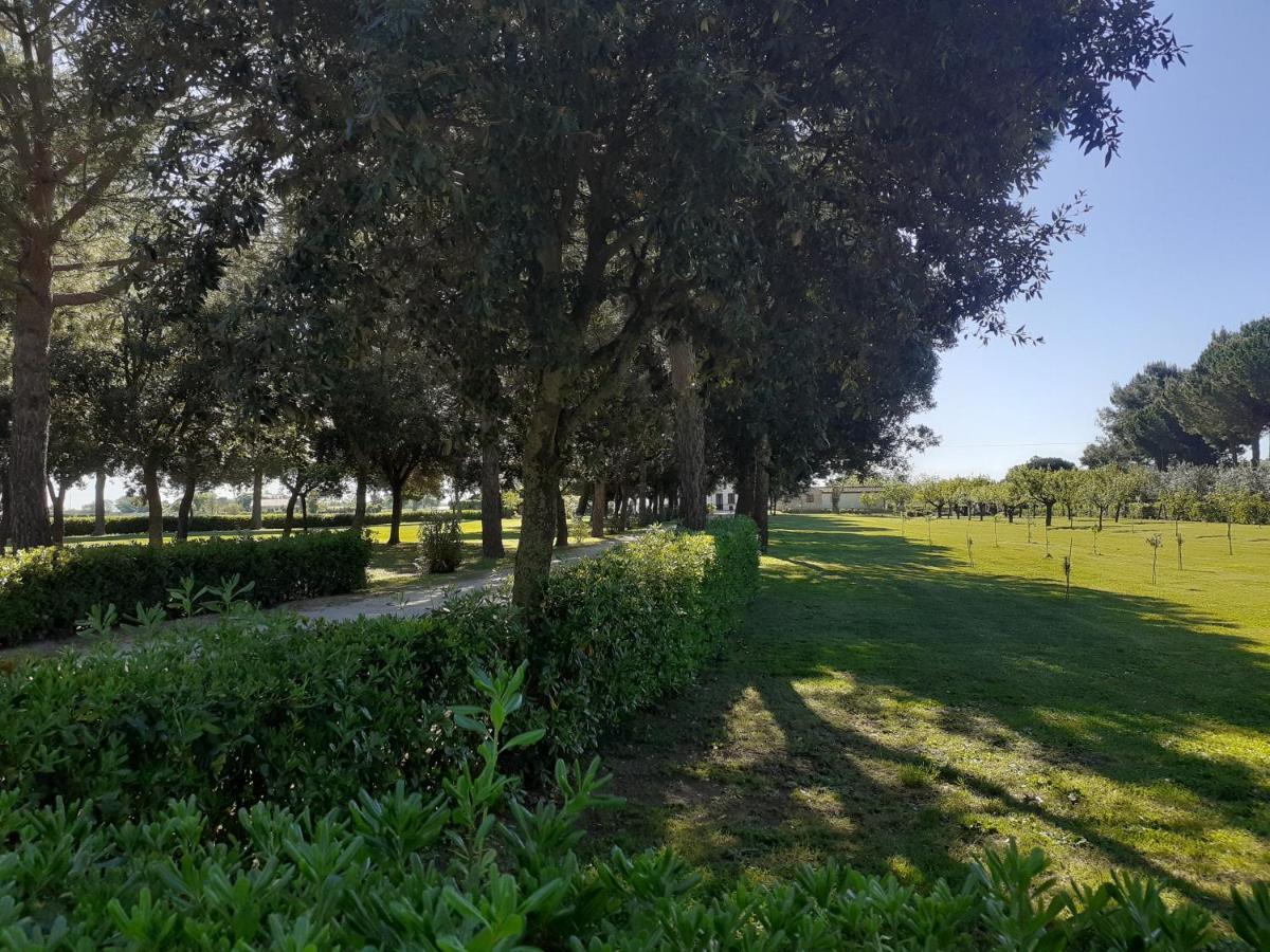 Silos Torrenova 波滕扎皮切纳 外观 照片