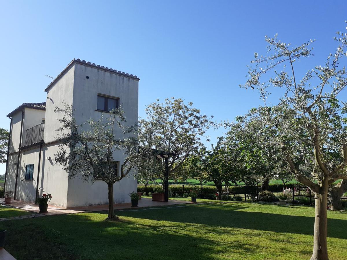 Silos Torrenova 波滕扎皮切纳 外观 照片