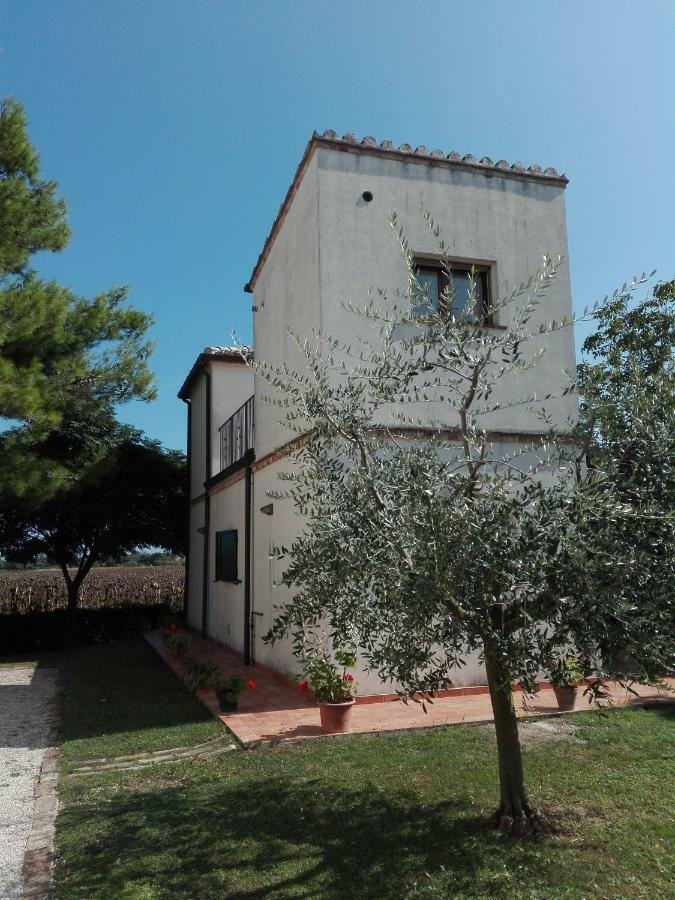 Silos Torrenova 波滕扎皮切纳 外观 照片